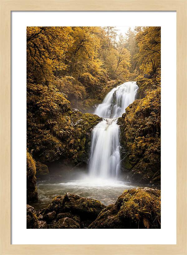 Seasonal Waterfall Serenity
