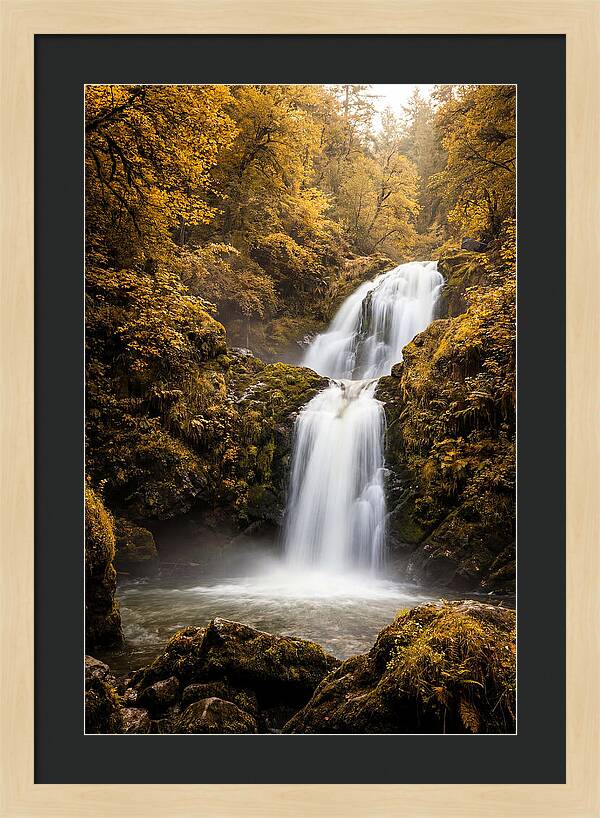 Seasonal Waterfall Serenity