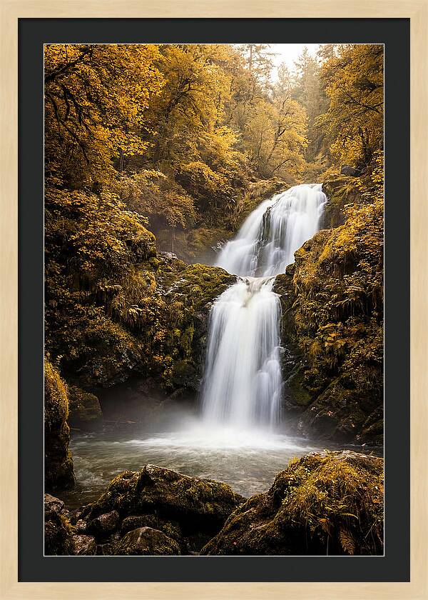 Seasonal Waterfall Serenity