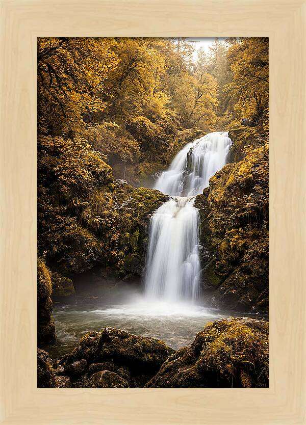 Seasonal Waterfall Serenity