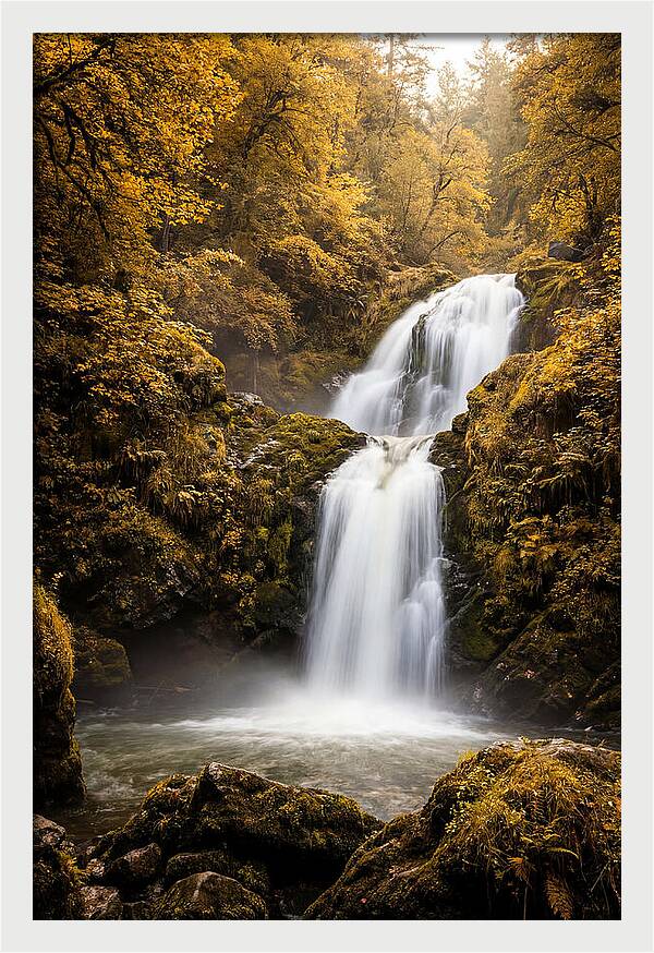 Seasonal Waterfall Serenity