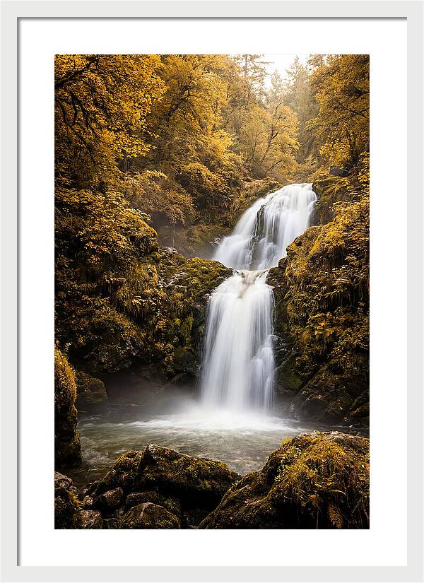 Seasonal Waterfall Serenity