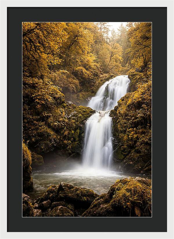 Seasonal Waterfall Serenity