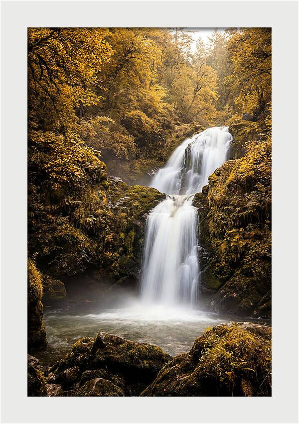 Seasonal Waterfall Serenity