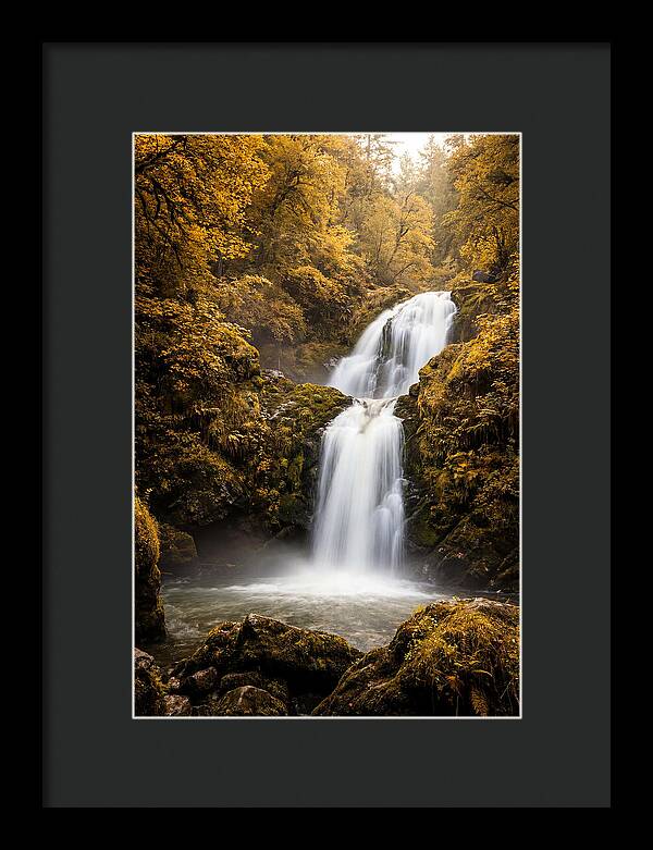 Seasonal Waterfall Serenity