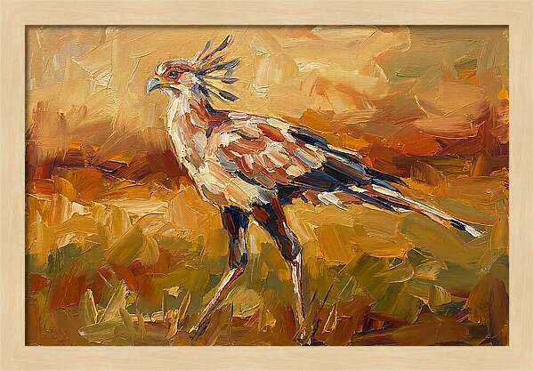 Secretary Bird In Motion