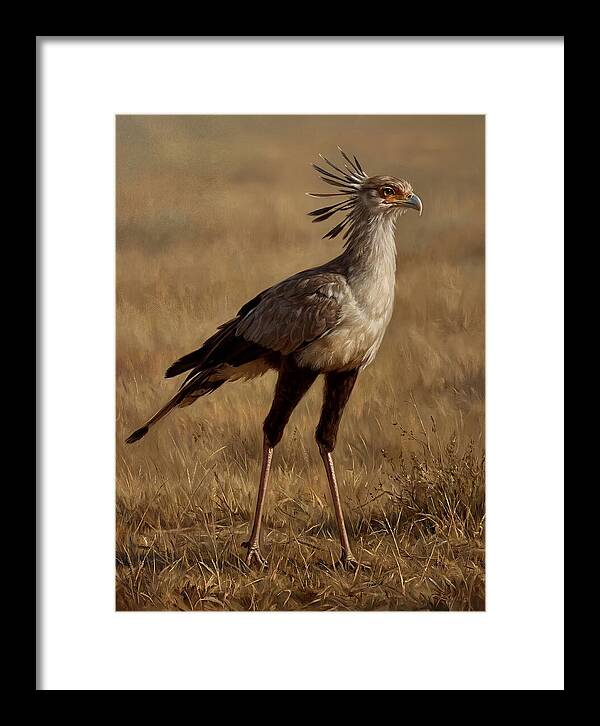 Secretary Bird In Realistic Detail