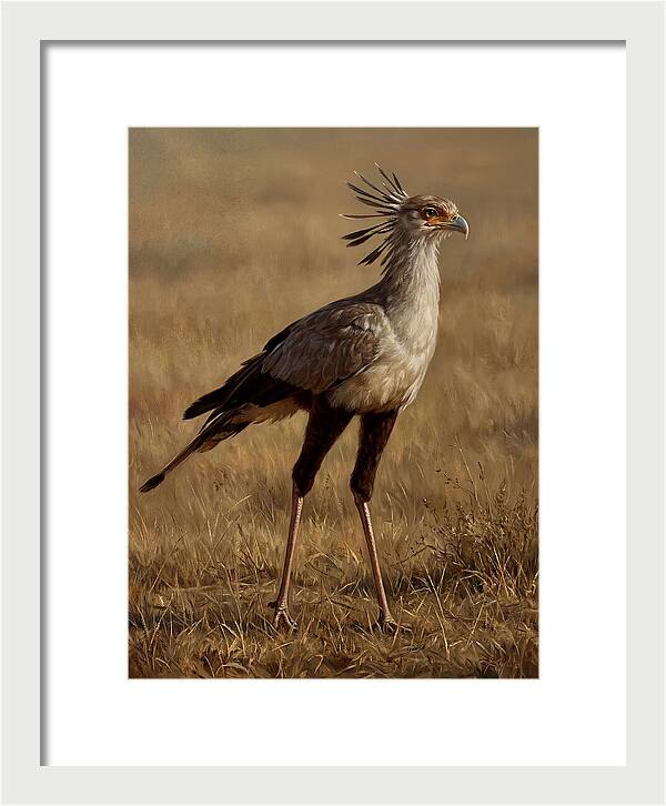 Secretary Bird In Realistic Detail