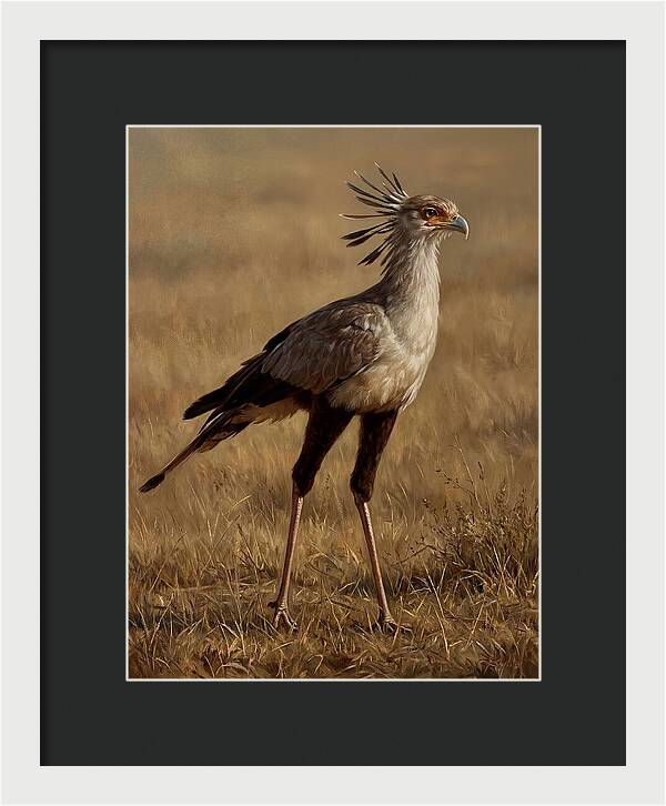 Secretary Bird In Realistic Detail