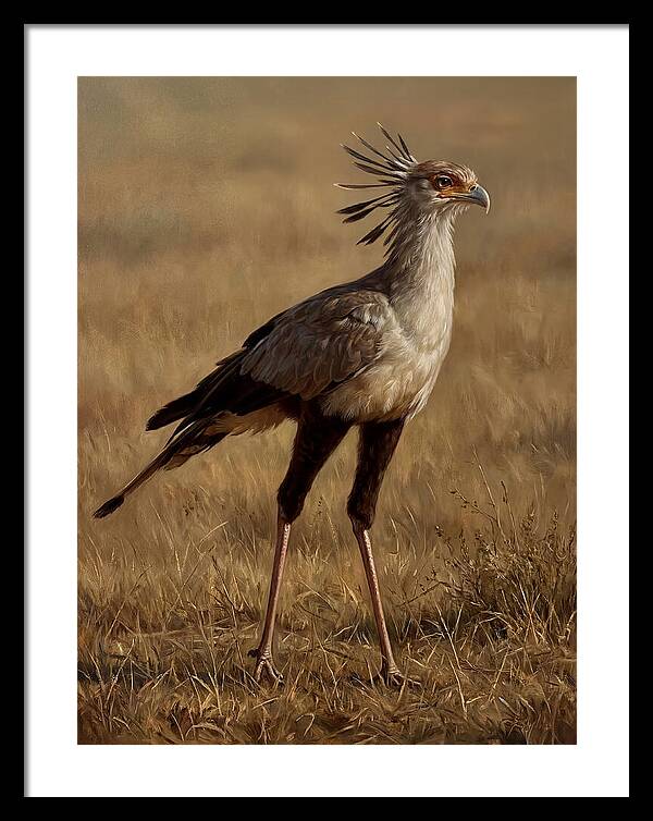 Secretary Bird In Realistic Detail