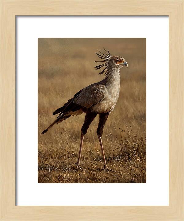 Secretary Bird In Realistic Detail