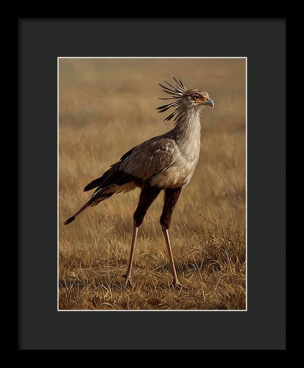 Secretary Bird In Realistic Detail