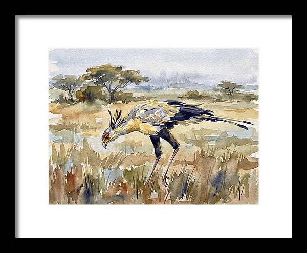 Secretary Bird In The Grasslands