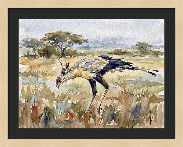 Secretary Bird In The Grasslands