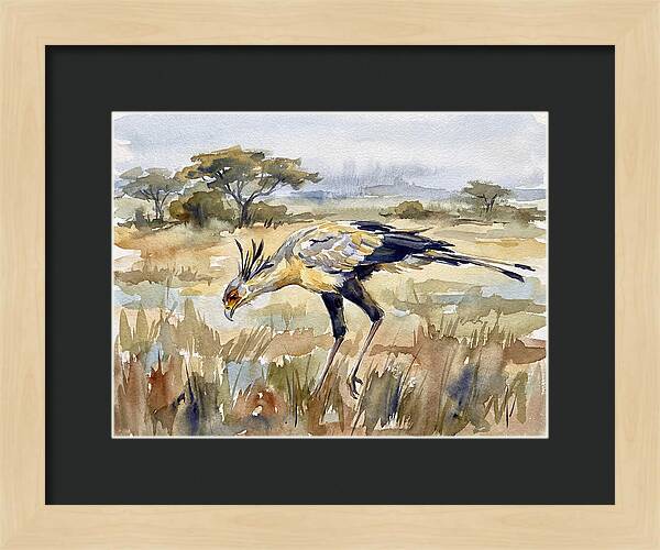 Secretary Bird In The Grasslands
