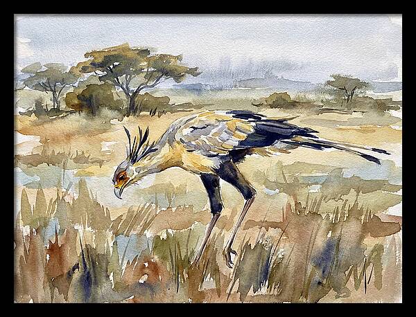 Secretary Bird In The Grasslands