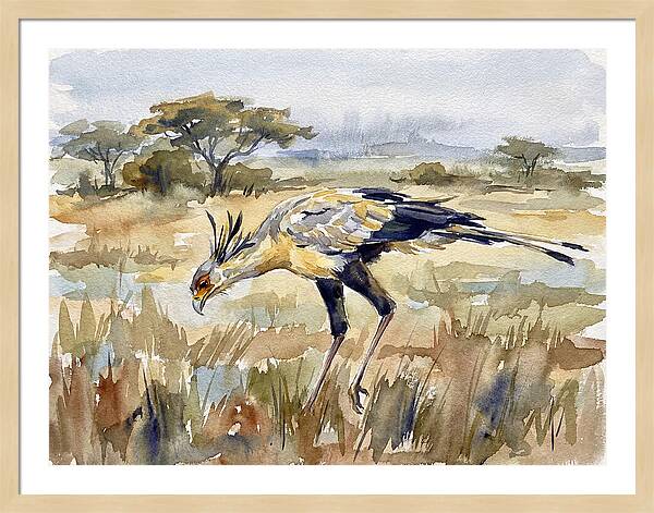 Secretary Bird In The Grasslands