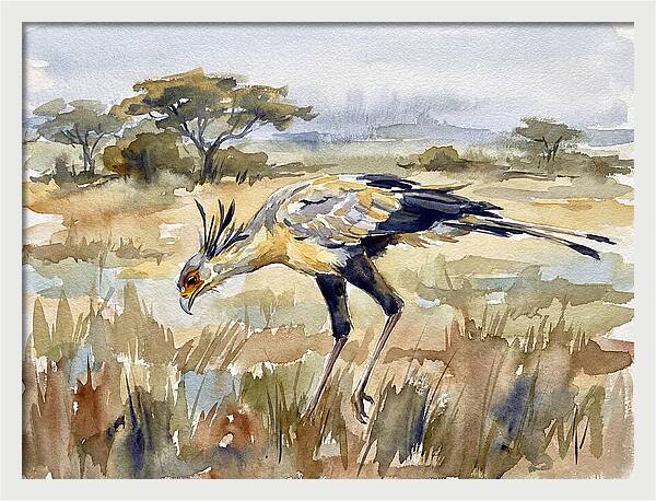 Secretary Bird In The Grasslands