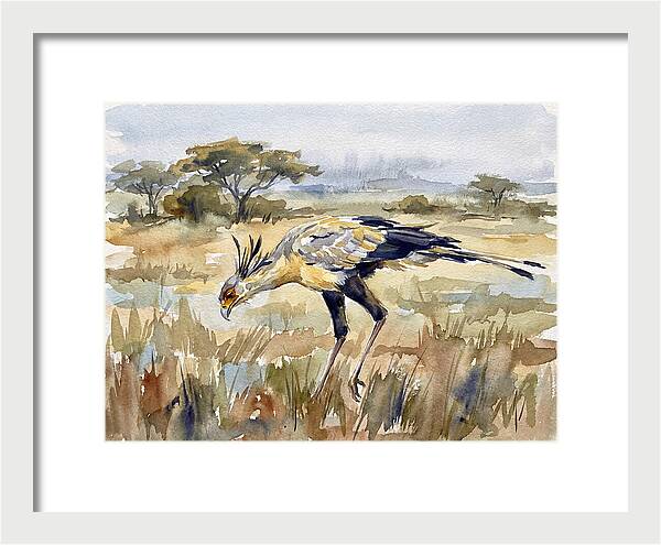 Secretary Bird In The Grasslands