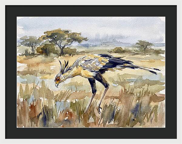 Secretary Bird In The Grasslands