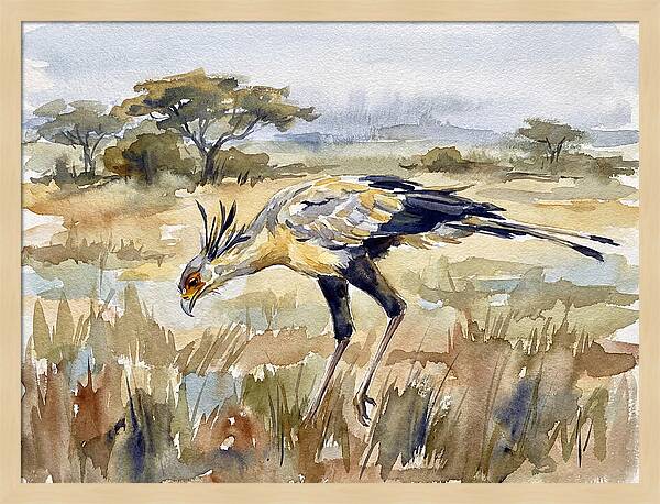 Secretary Bird In The Grasslands