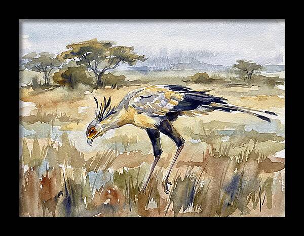 Secretary Bird In The Grasslands