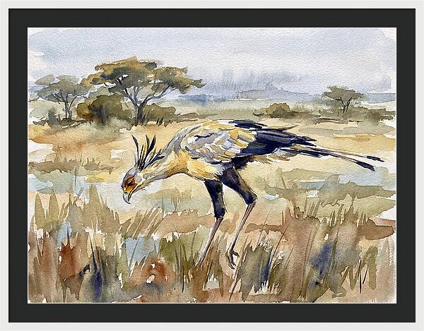 Secretary Bird In The Grasslands