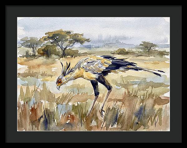 Secretary Bird In The Grasslands