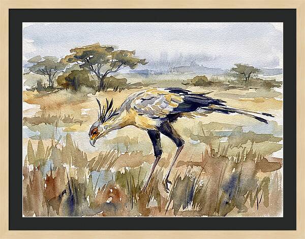 Secretary Bird In The Grasslands