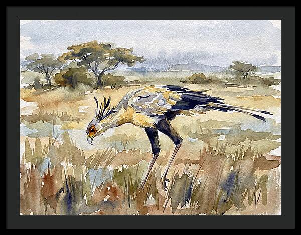 Secretary Bird In The Grasslands