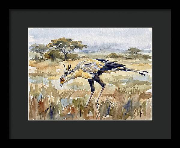 Secretary Bird In The Grasslands