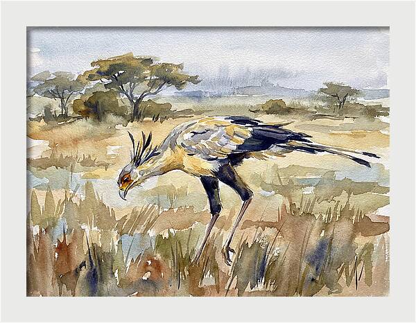 Secretary Bird In The Grasslands