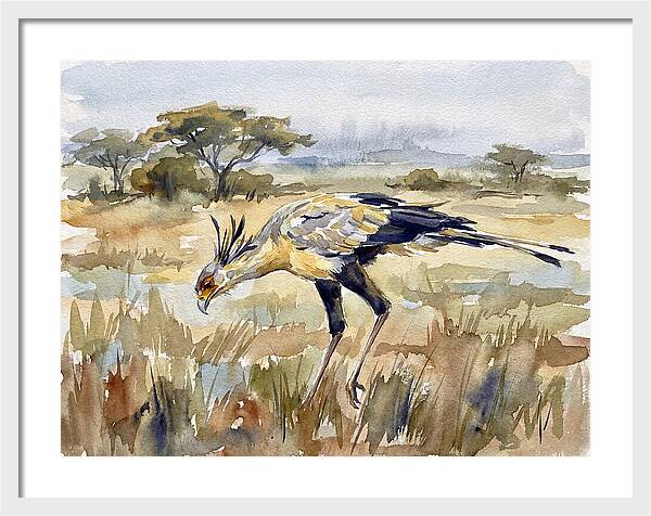 Secretary Bird In The Grasslands