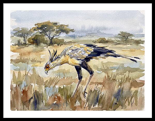 Secretary Bird In The Grasslands