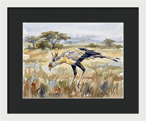 Secretary Bird In The Grasslands