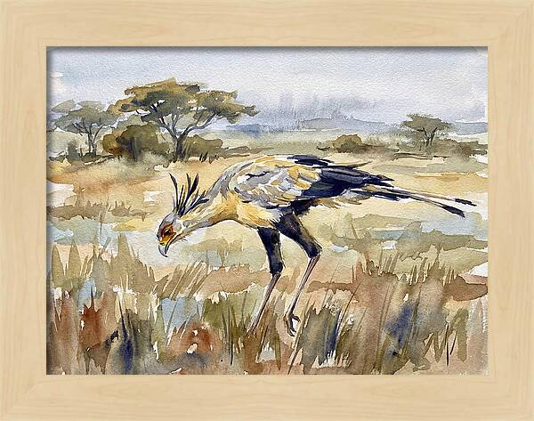 Secretary Bird In The Grasslands