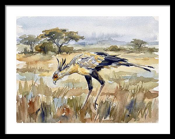Secretary Bird In The Grasslands