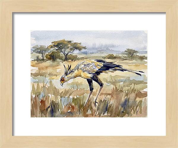 Secretary Bird In The Grasslands