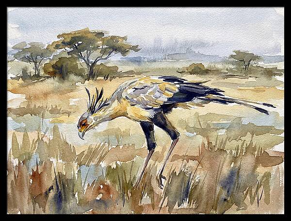 Secretary Bird In The Grasslands