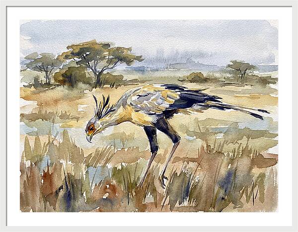 Secretary Bird In The Grasslands
