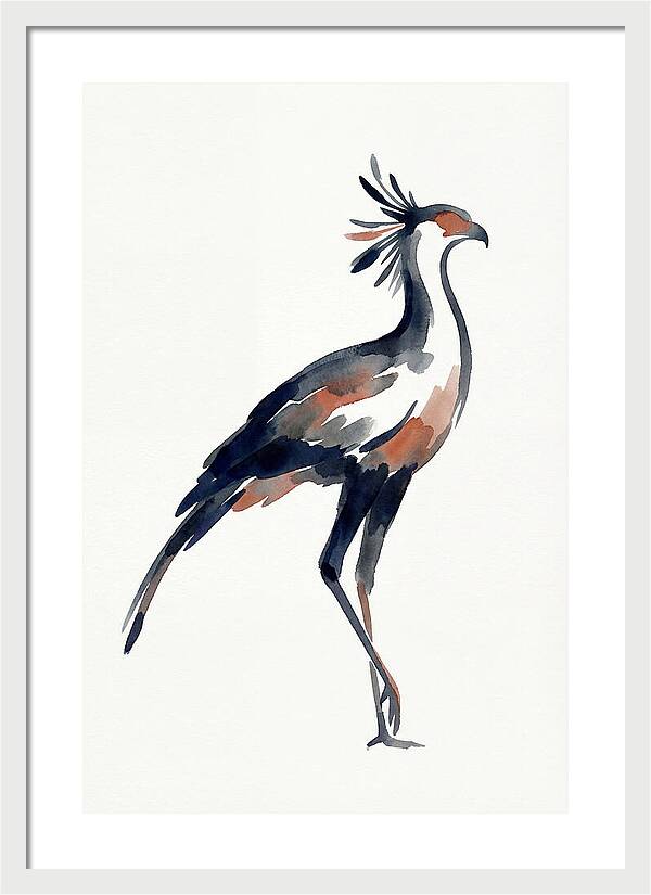 Secretary Bird Silhouette