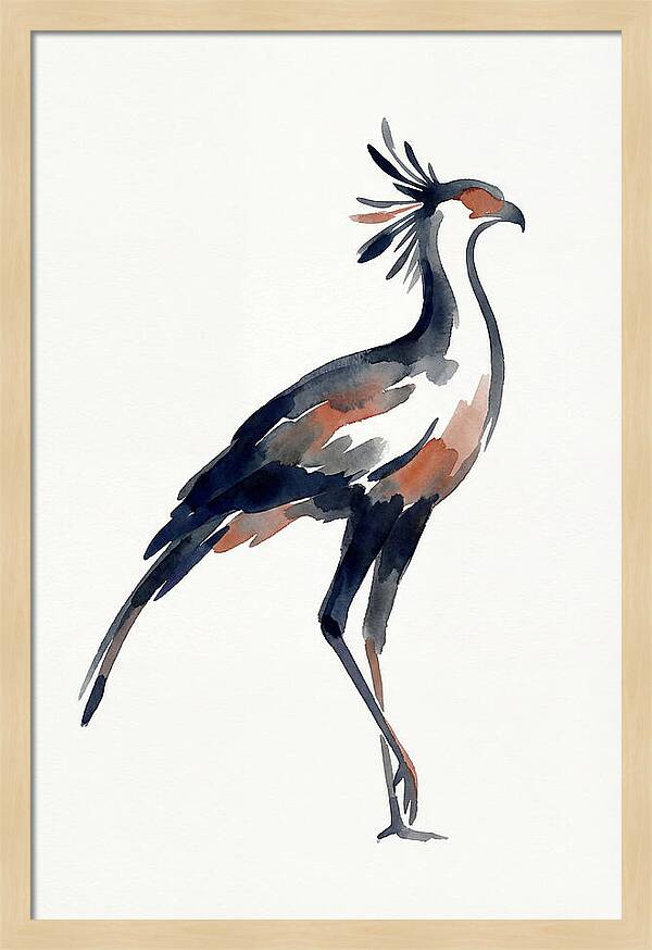 Secretary Bird Silhouette