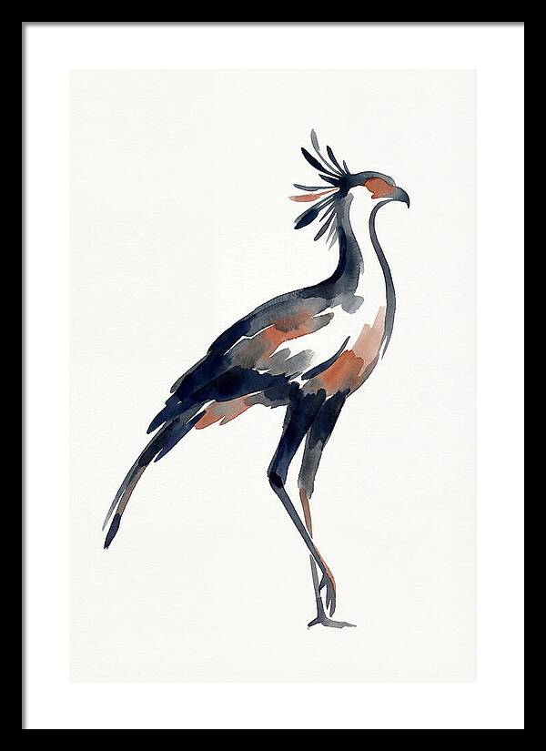 Secretary Bird Silhouette