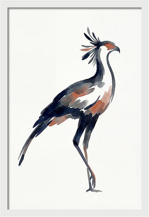 Secretary Bird Silhouette