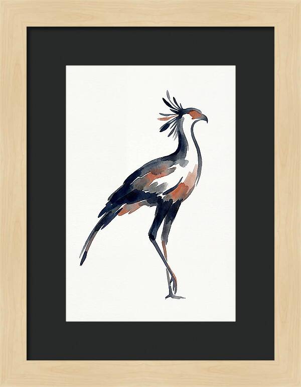 Secretary Bird Silhouette