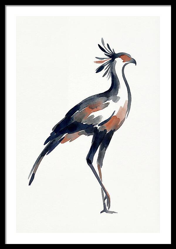 Secretary Bird Silhouette