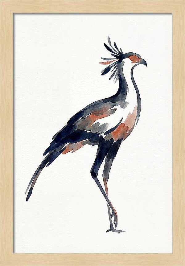 Secretary Bird Silhouette