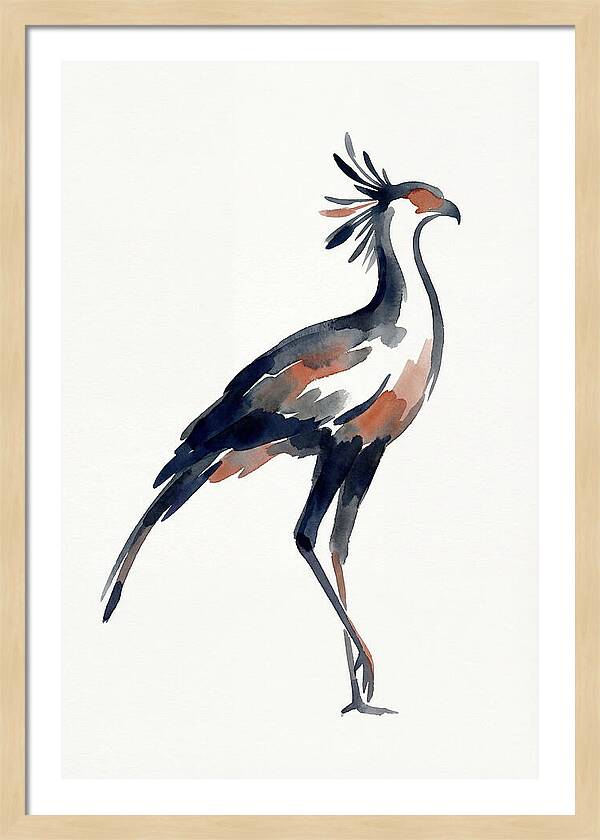 Secretary Bird Silhouette