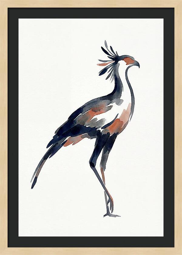 Secretary Bird Silhouette