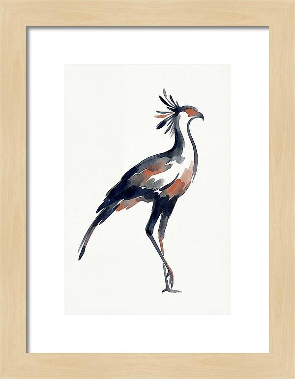 Secretary Bird Silhouette